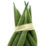 Sansevieria cylindrica Braid - Snake plant Leaf Culture