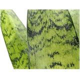 Sansevieria zeylanica Leaf Culture