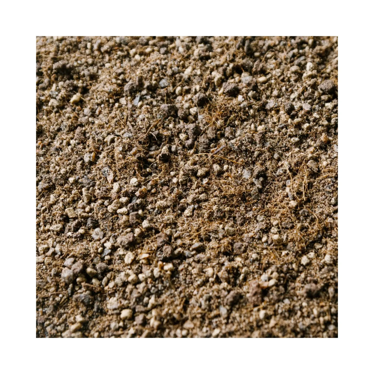 Cactus & Succulent Soil Mix | Fast-Draining Potting Mix | Soil Ninja