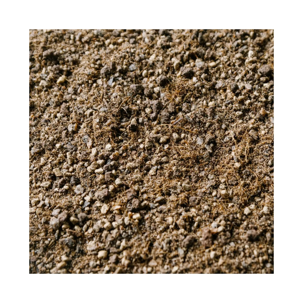 Soil Ninja - Cacti & Succulent Houseplant Soil Blend_2_main