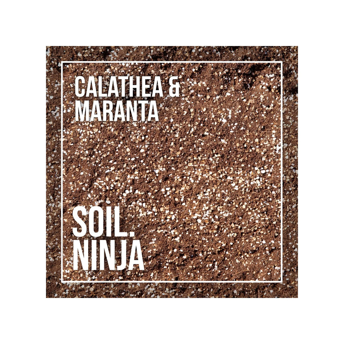 Soil Ninja - Premium Calathea &amp; Maranta Blend Soil Ninja