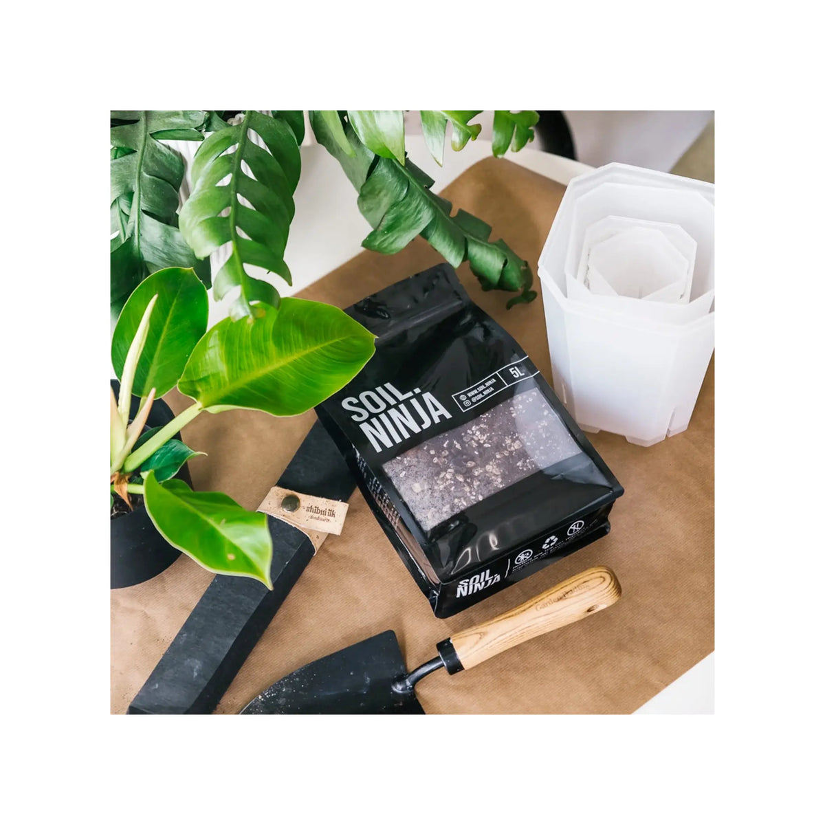 Soil Ninja - Premium Monstera & Philodendron Blend Soil Ninja