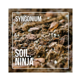 Soil Ninja - Syngonium Houseplant Soil Blend Leaf Culture