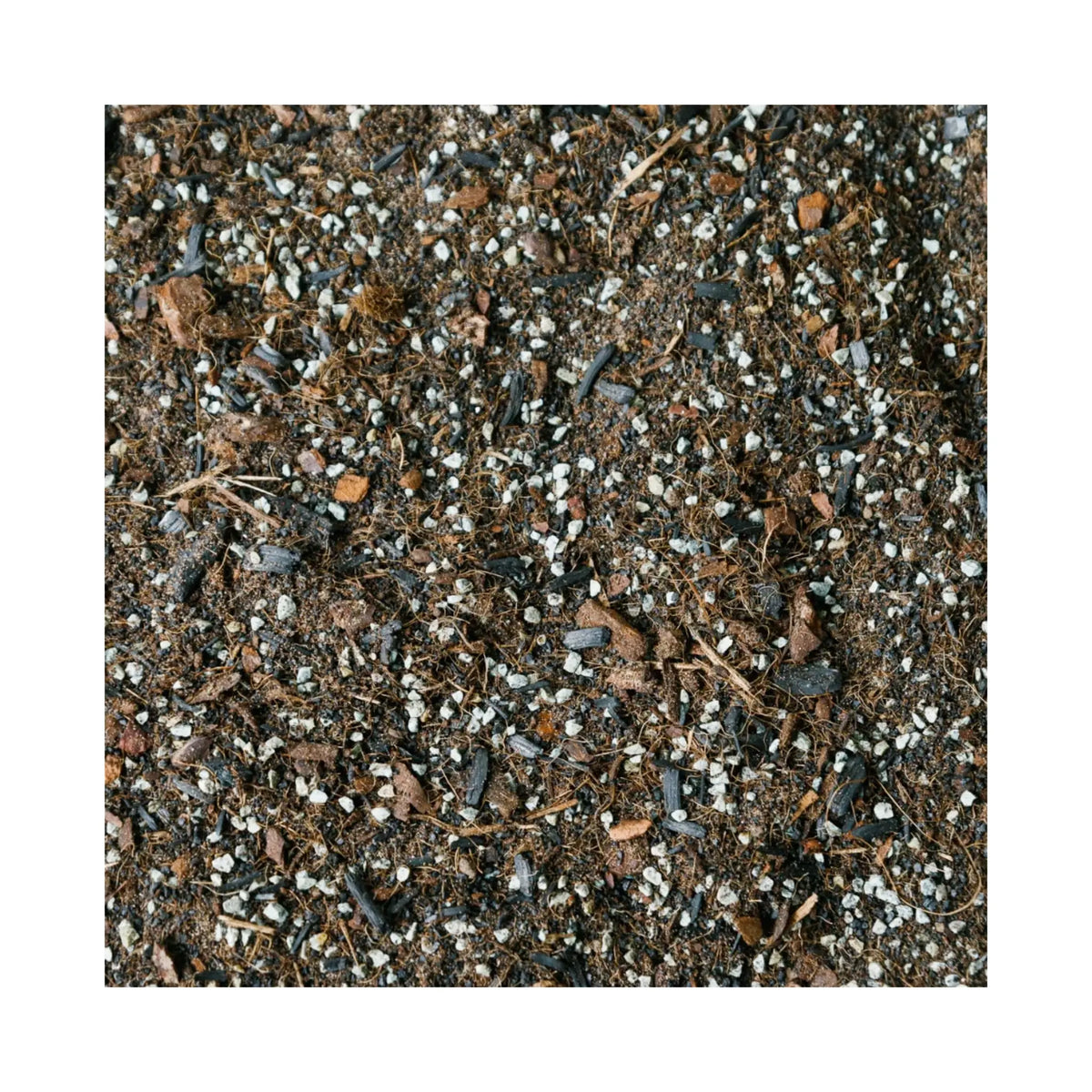 Soil Ninja Terrarium Soil Blend Soil Ninja