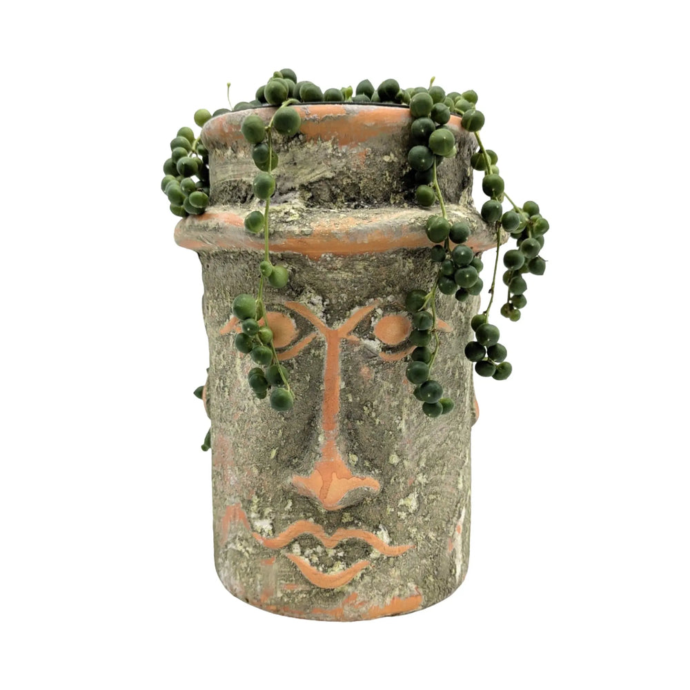 String of Pearls in Rustic Face Planter – Senecio rowleyanus_1_main