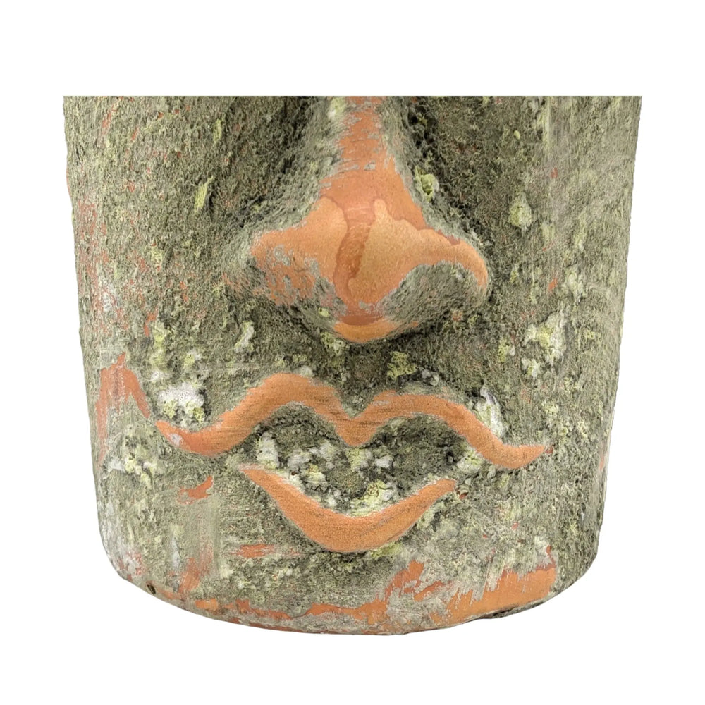 String of Pearls in Rustic Face Planter – Senecio rowleyanus_5_main