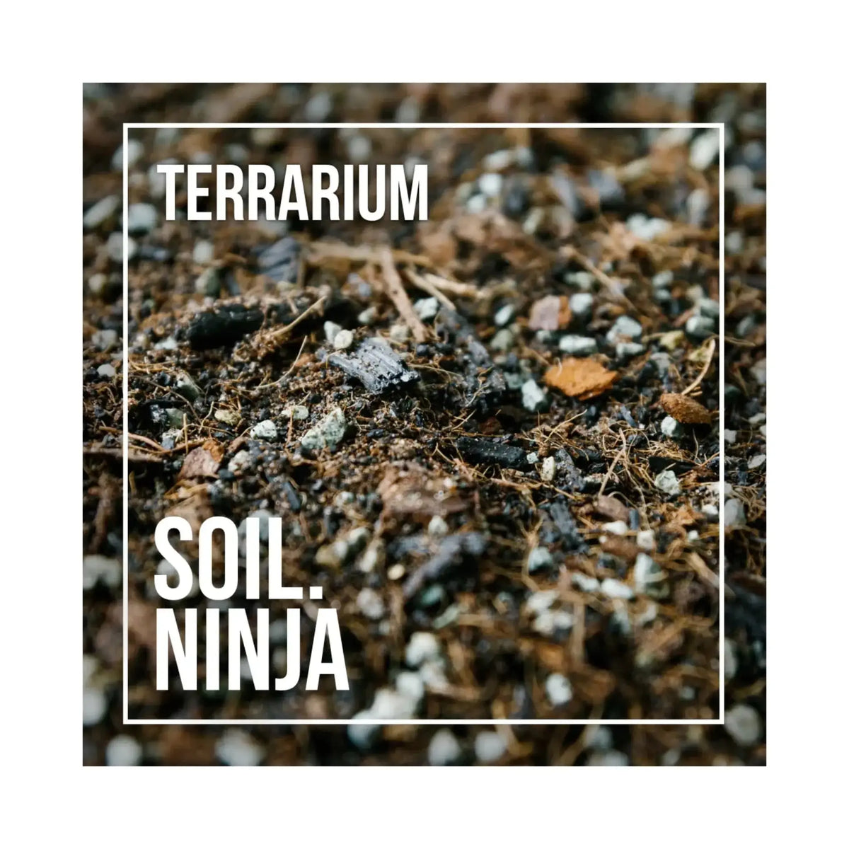 Soil Ninja Terrarium Soil Blend Soil Ninja