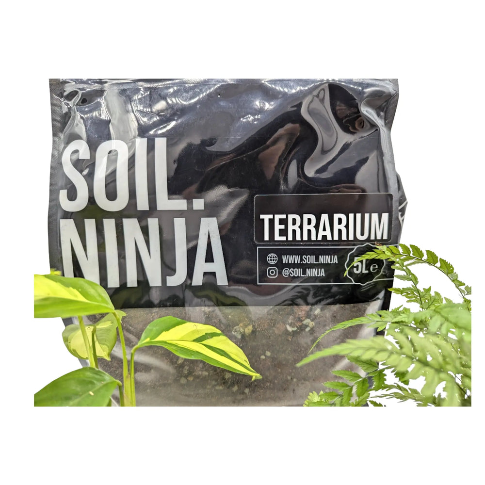 Terrarium Plant Bundle | Plants + Soil Kit - Complete Set - Leaf Culture_3_main