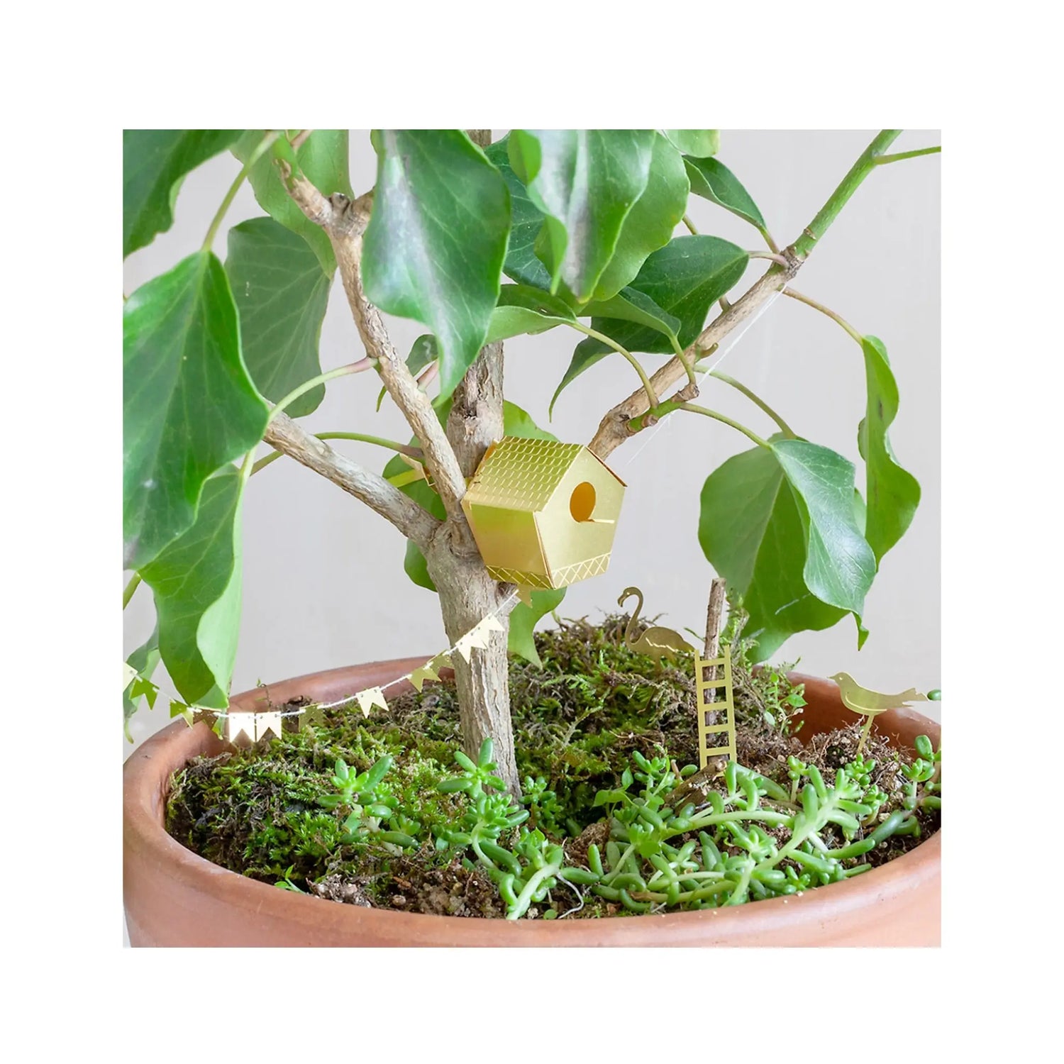 Tiny Birdhouse For Your Plants Botanopia