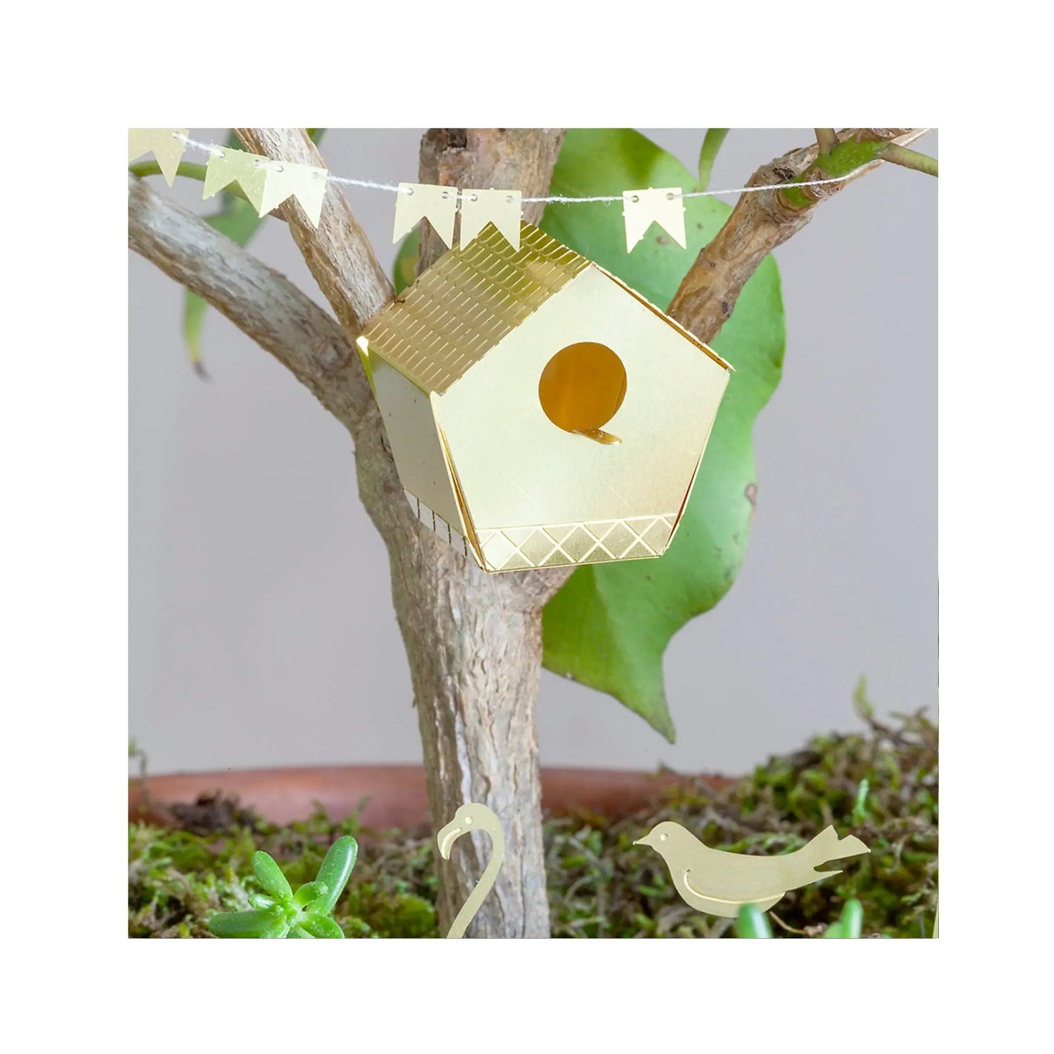 Tiny Birdhouse For Your Plants Botanopia