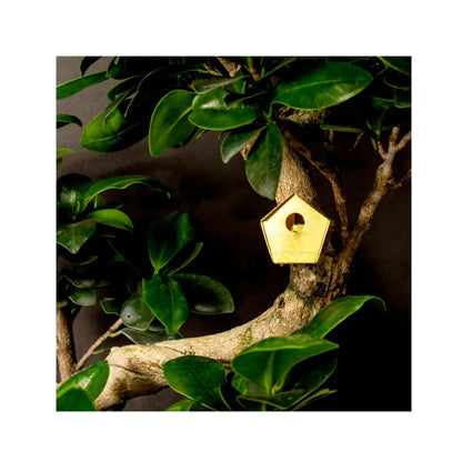 Tiny Birdhouse For Your Plants Botanopia