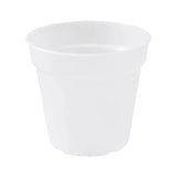 Transparent Nursery Pot for Houseplants Leaf Culture