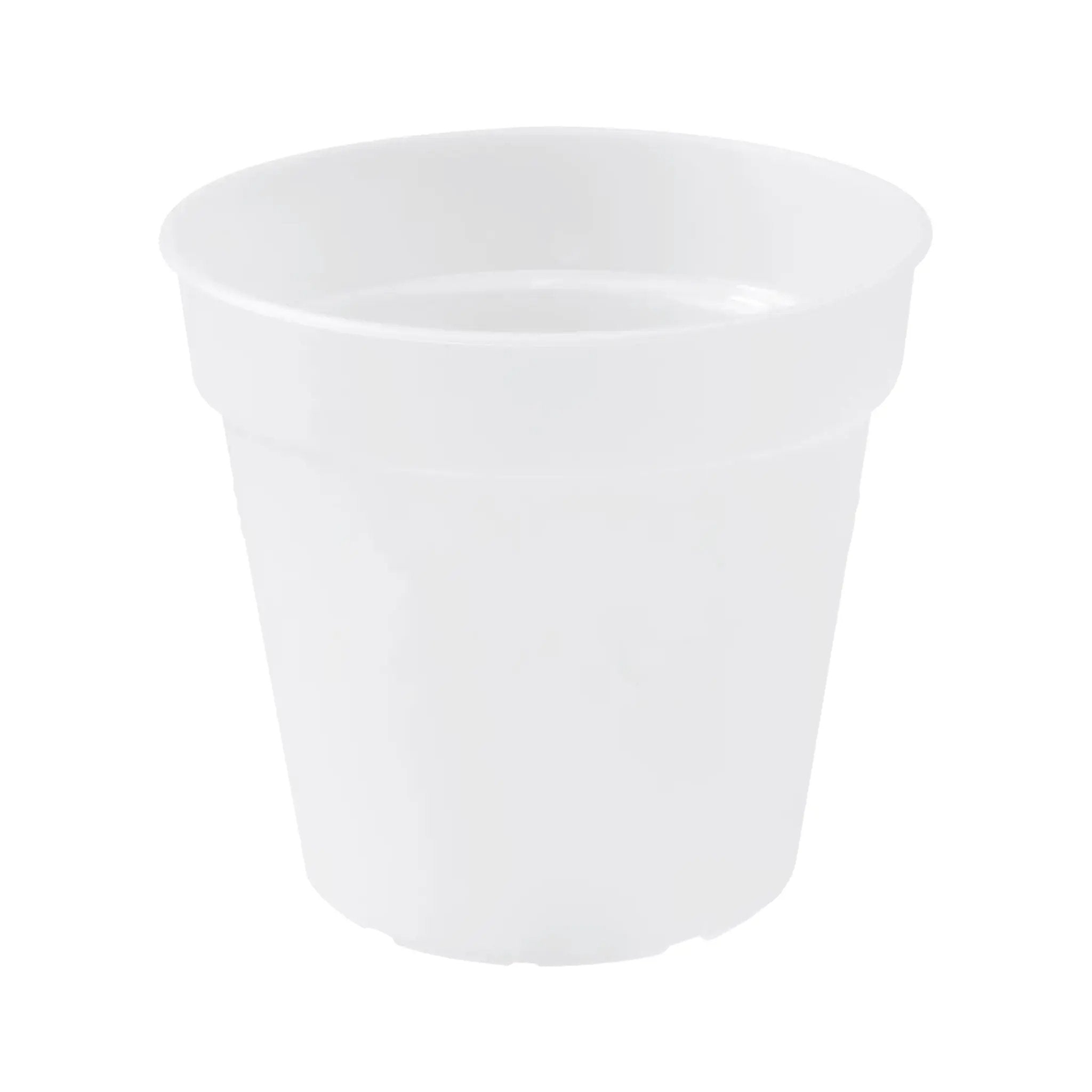 Transparent Nursery Pot for Houseplants Leaf Culture