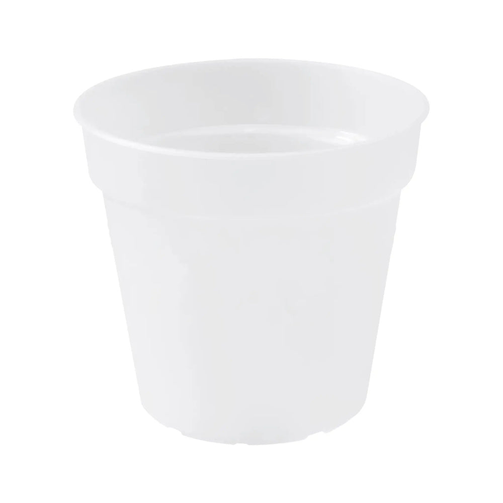 Transparent Nursery Pot for Houseplants_1_main