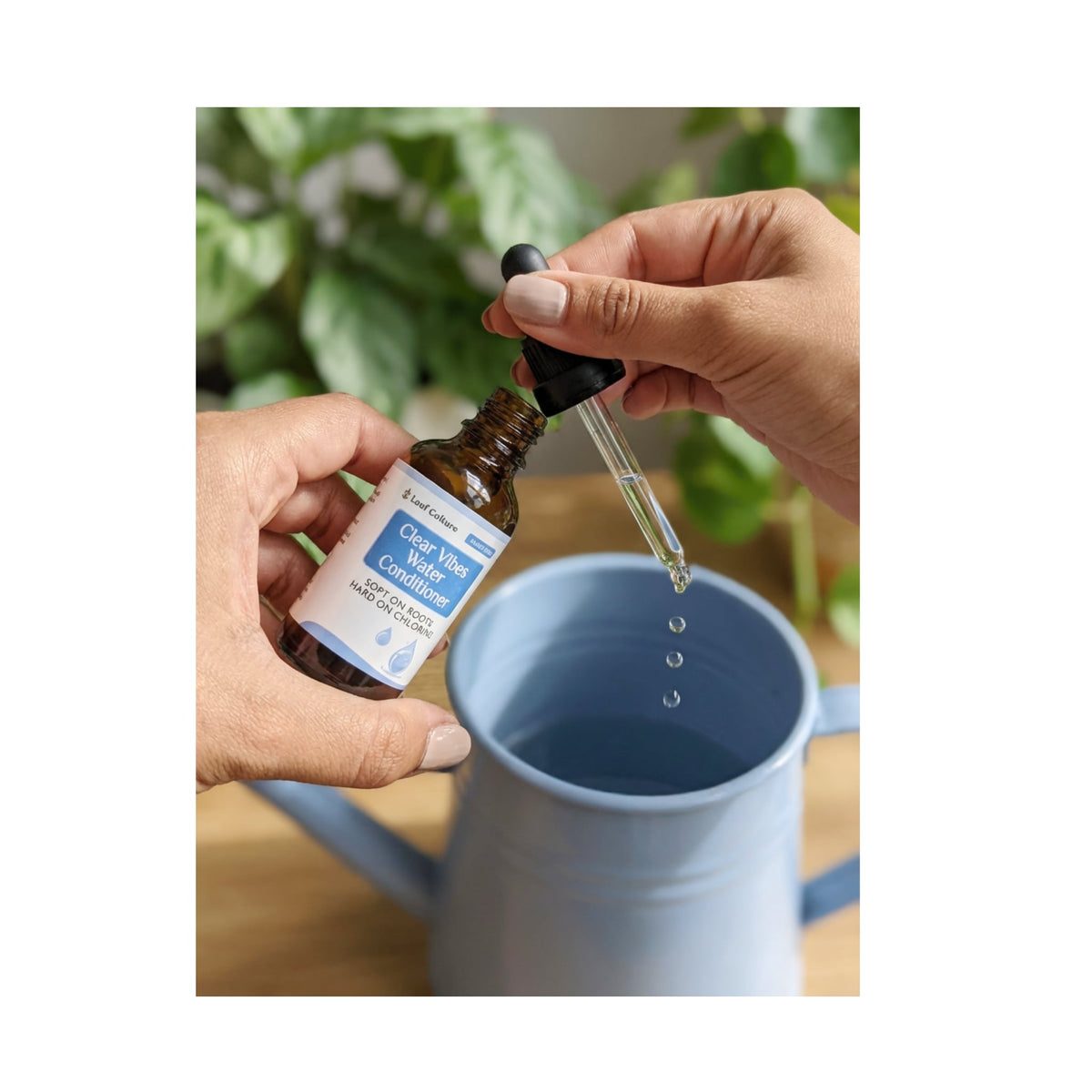 Clear Vibes - Water Conditioner for Houseplants