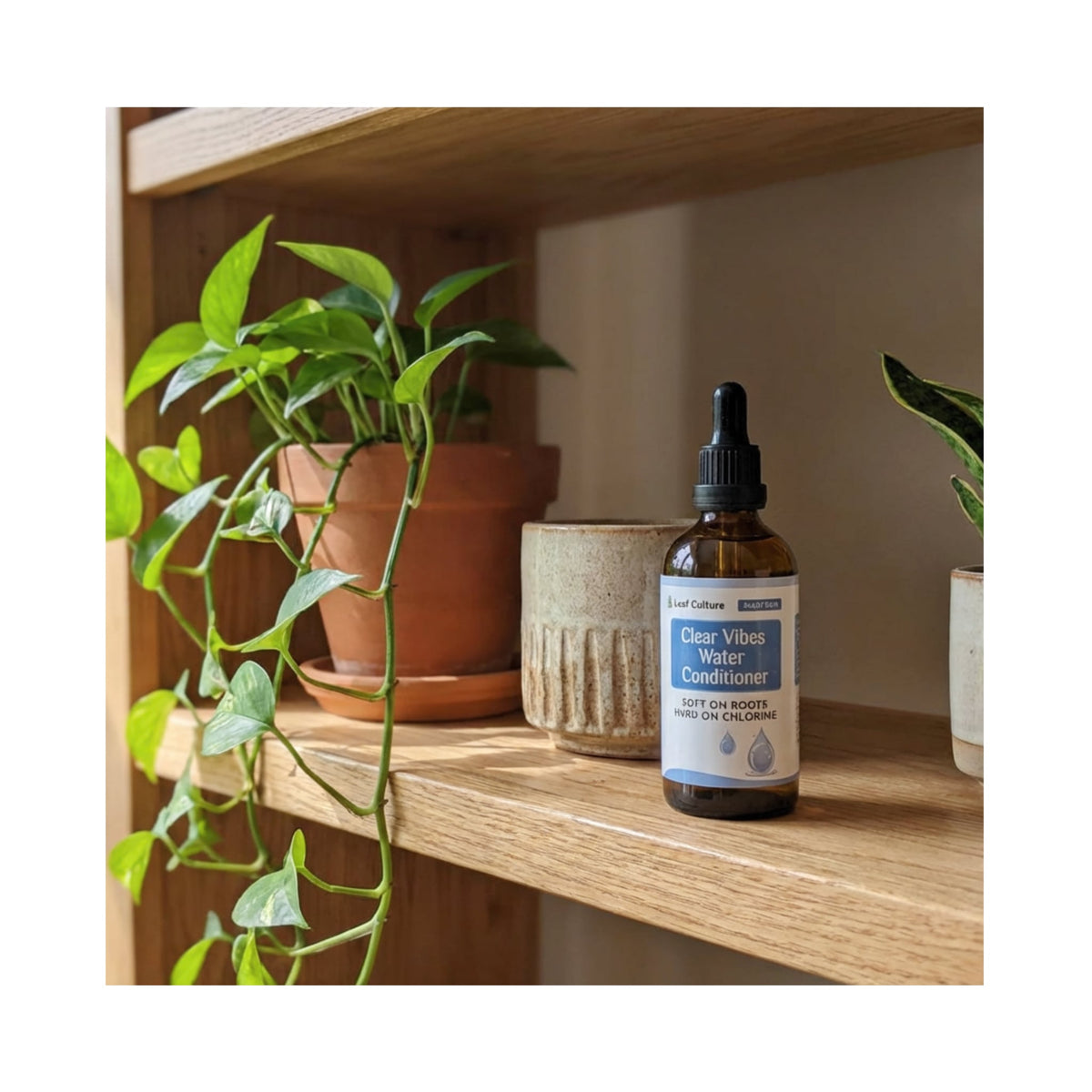 Clear Vibes - Water Conditioner for Houseplants