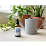 Clear Vibes - Water Conditioner for Houseplants