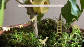 Tiny Birdhouse For Your Plants