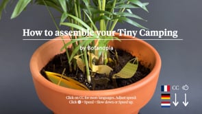 Tiny Camping For Your Plants