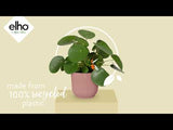 Elho Vibes Fold Plant Pot | Modern Round Recyclable Planter
